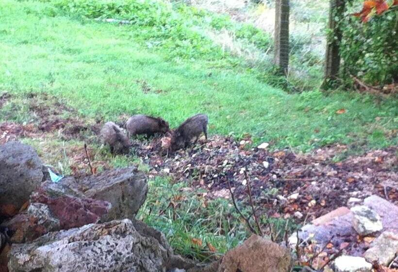 בית מלון כפרי Agriturismo Villa Gabbiano