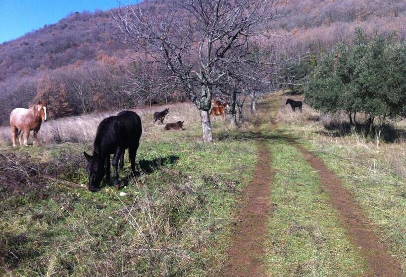 בית מלון כפרי Agriturismo Villa Gabbiano