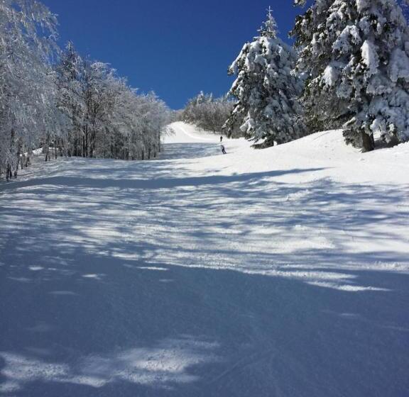 호텔 Albergo Diana