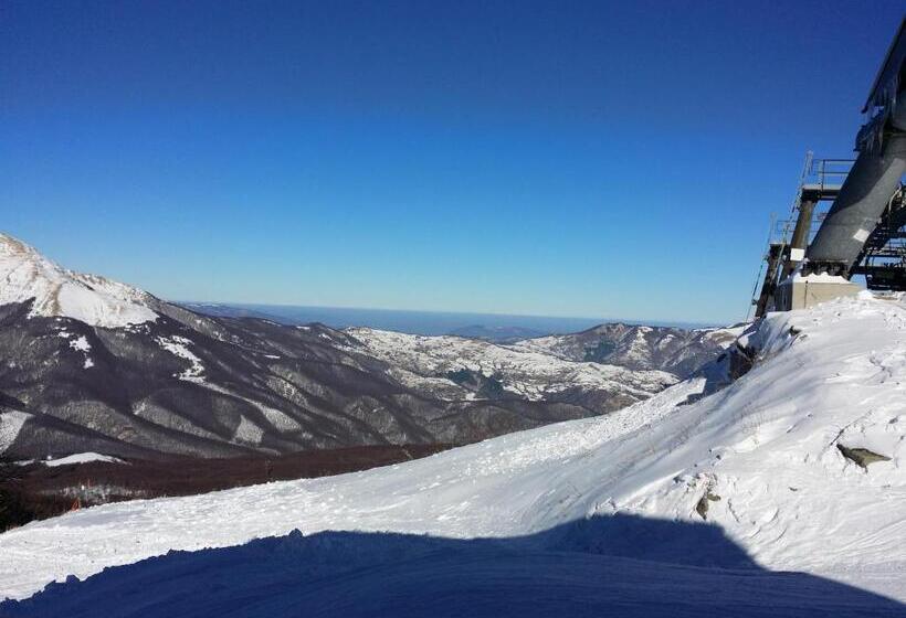 호텔 Albergo Diana