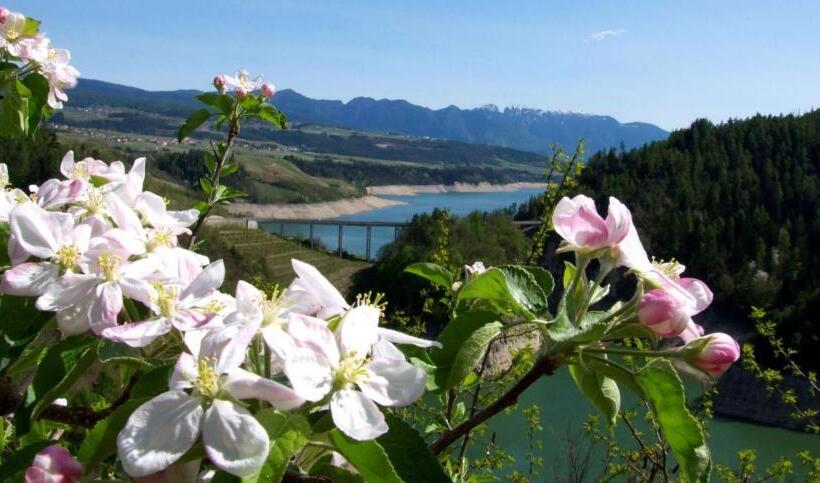 Hotel Albergo Aurora