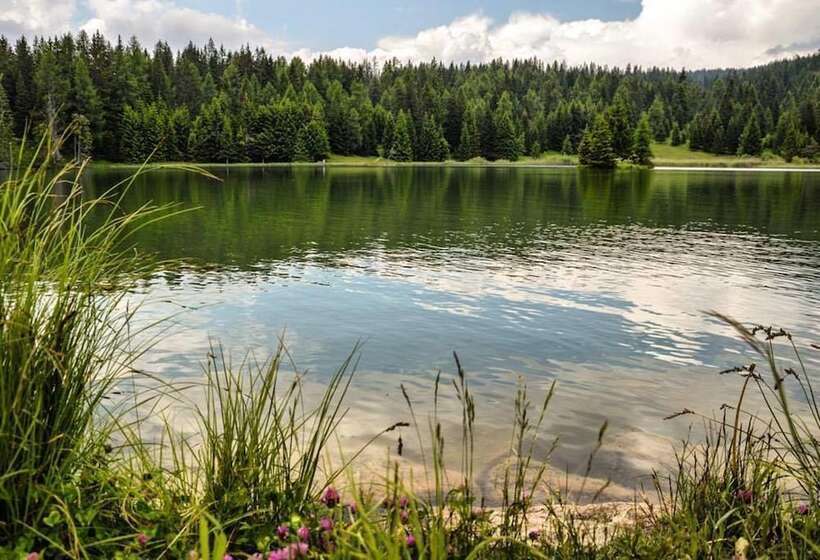 Hotel Albergo Aurora