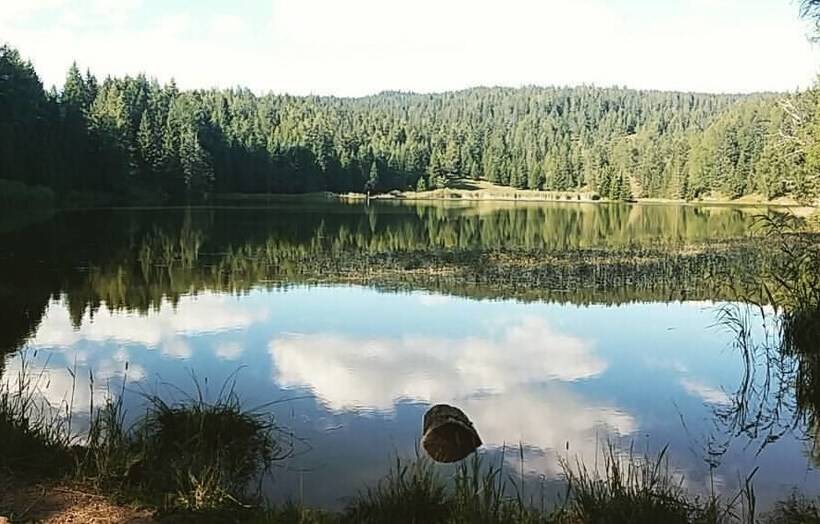 Hotel Albergo Aurora