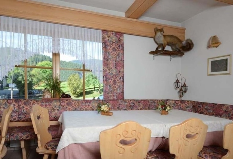 Hotel Albergo Aurora