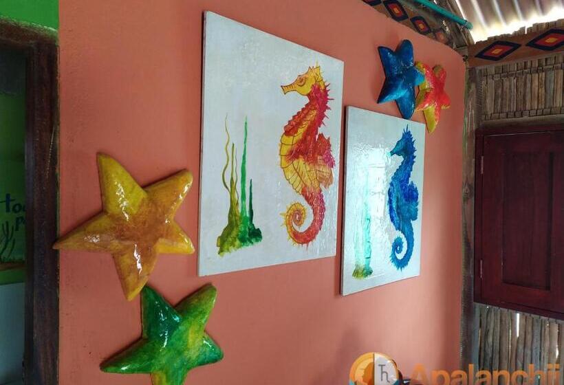 בית מלון כפרי Apalanchii Hospedaje Y Restaurante