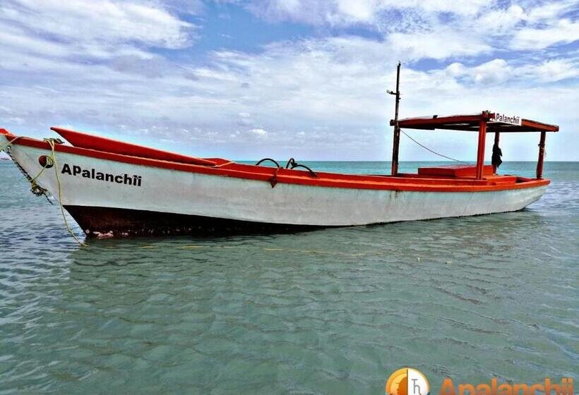 هتل Apalanchii Hospedaje Y Restaurante