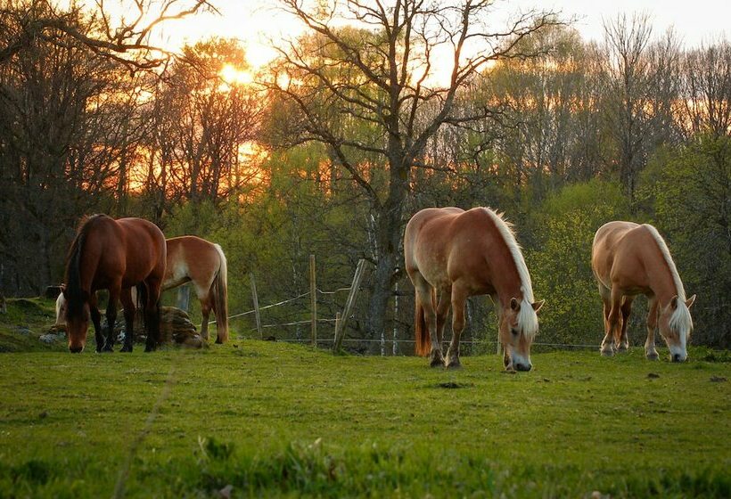 Hotel Bjorsbo Forest & Lake Hideaways