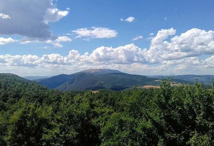 Отель Borgo La Torre