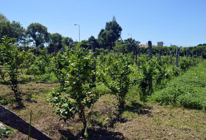 בית מלון כפרי Casa Do Carvalho