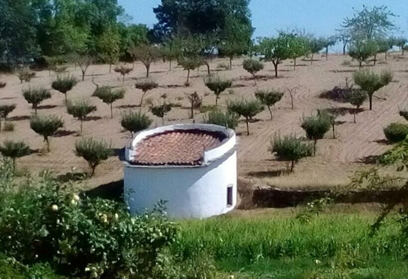 בית מלון כפרי Casa Dos Pombais De Caçarelhos Rural