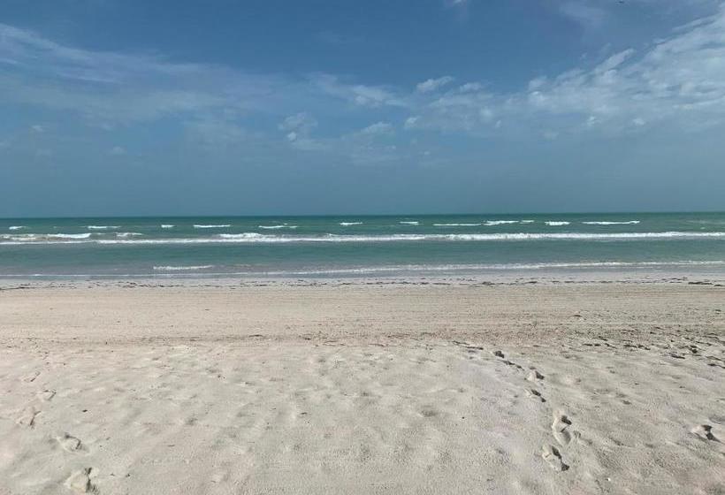 בית מלון כפרי Casa Mate Beachfront Cabañas El Cuyo