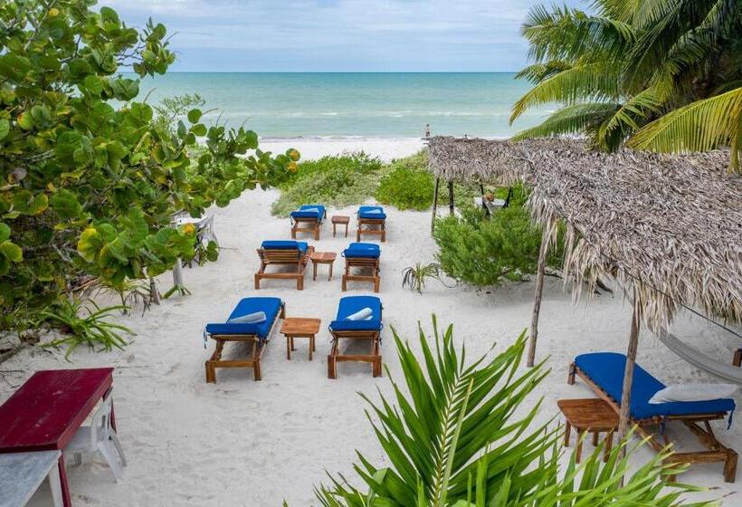 בית מלון כפרי Casa Mate Beachfront Cabañas El Cuyo