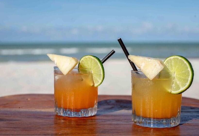 בית מלון כפרי Casa Mate Beachfront Cabañas El Cuyo