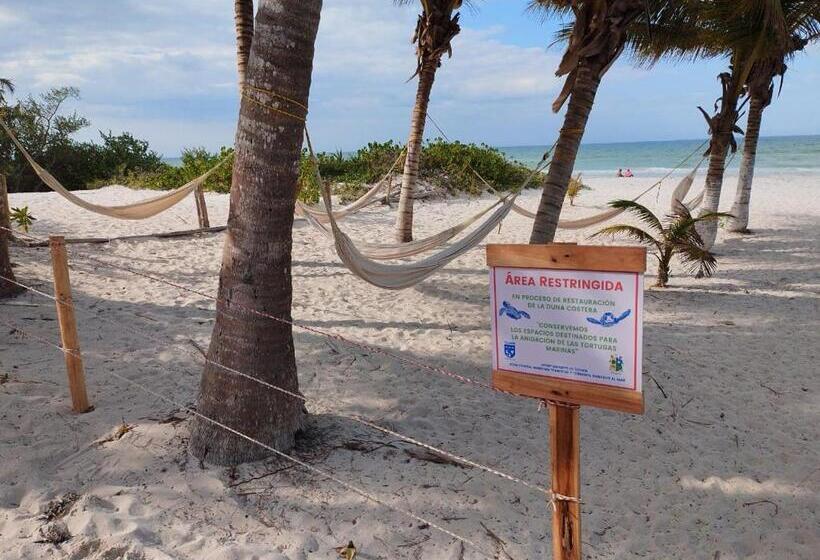 בית מלון כפרי Casa Mate Beachfront Cabañas El Cuyo