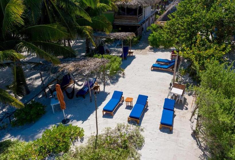 בית מלון כפרי Casa Mate Beachfront Cabañas El Cuyo