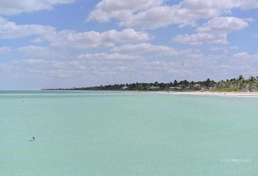 בית מלון כפרי Casa Mate Beachfront Cabañas El Cuyo