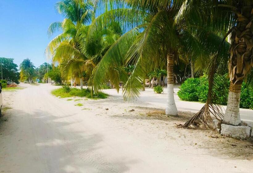 בית מלון כפרי Casa Mate Beachfront Cabañas El Cuyo