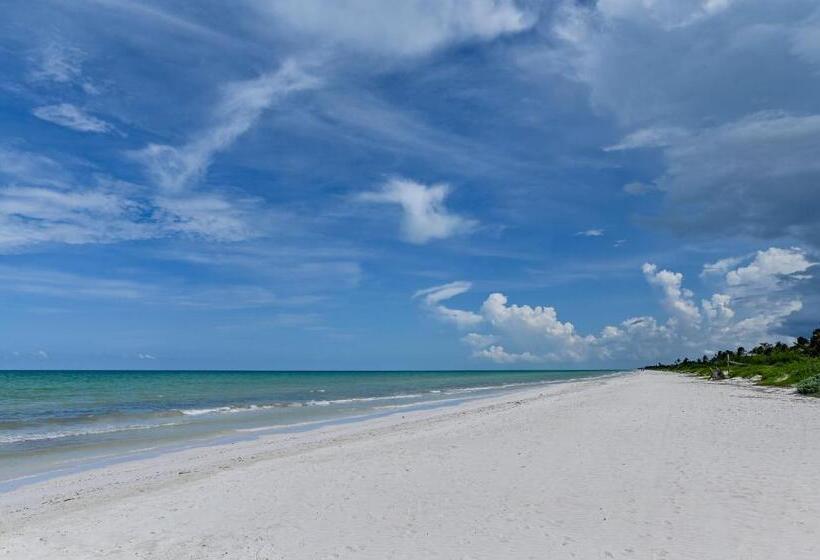 בית מלון כפרי Casa Mate Beachfront Cabañas El Cuyo