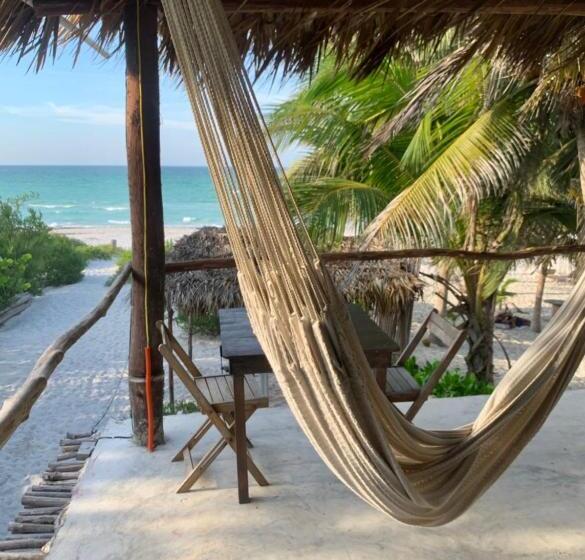 בית מלון כפרי Casa Mate Beachfront Cabañas El Cuyo