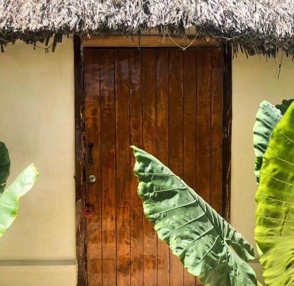 בית מלון כפרי Casa Mate Beachfront Cabañas El Cuyo