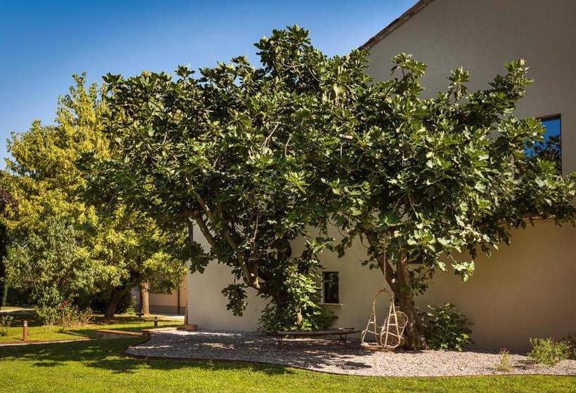 ホテル Case Zucchi Bioagriturismo