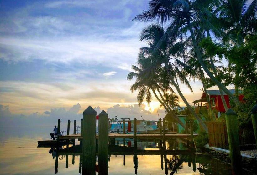 فندق Conch Key Fishing Lodge & Marina