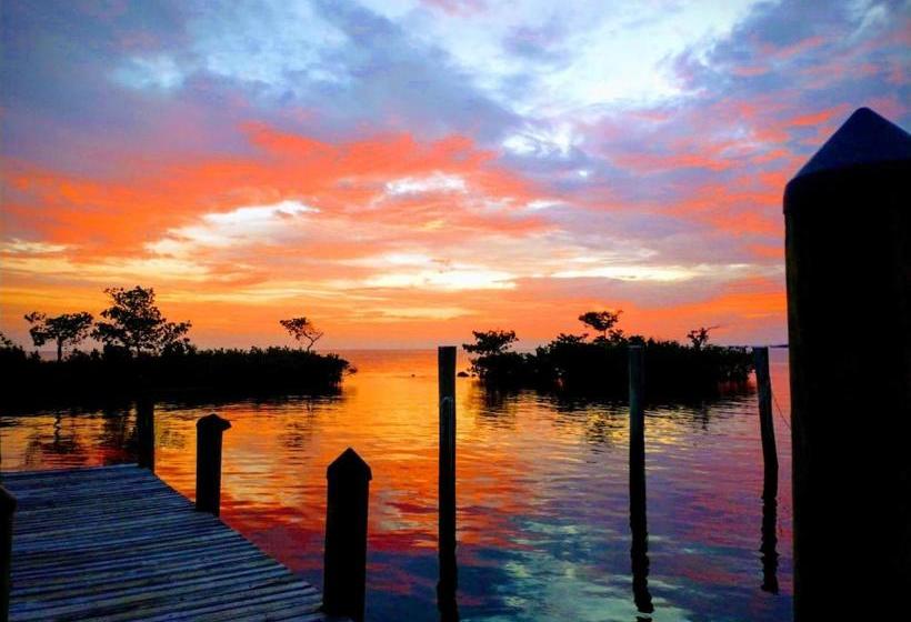 فندق Conch Key Fishing Lodge & Marina