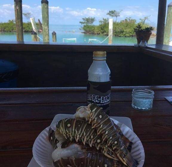 فندق Conch Key Fishing Lodge & Marina