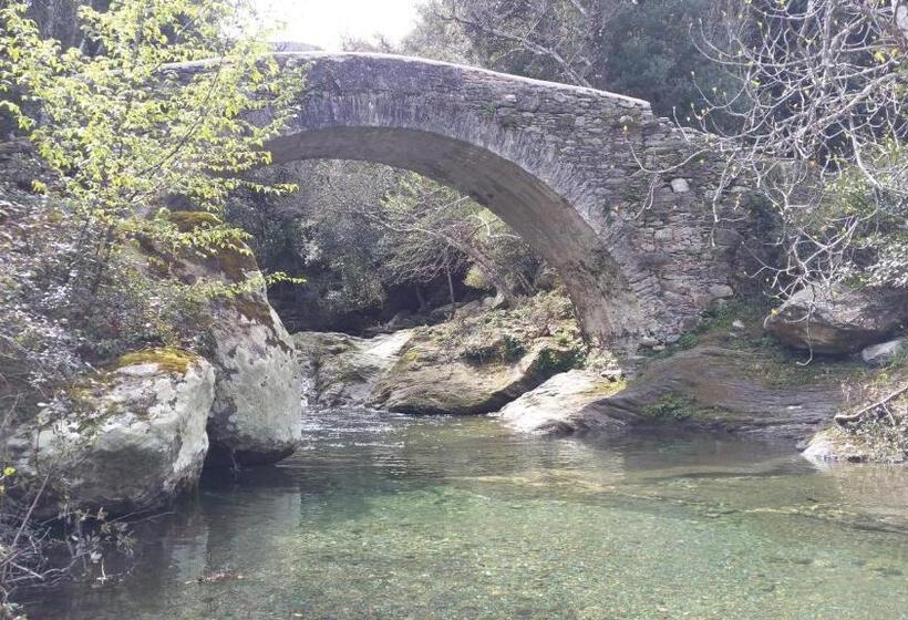 호텔 Hôtel Restaurant Les Chasseurs