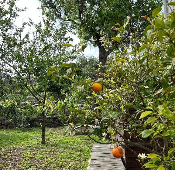 Отель Hôtel Restaurant Petra Cinta