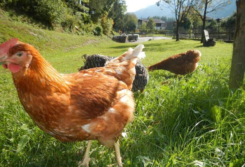 酒店 Jörgleggerhof