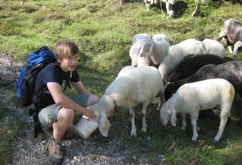 בית מלון כפרי Jörgleggerhof