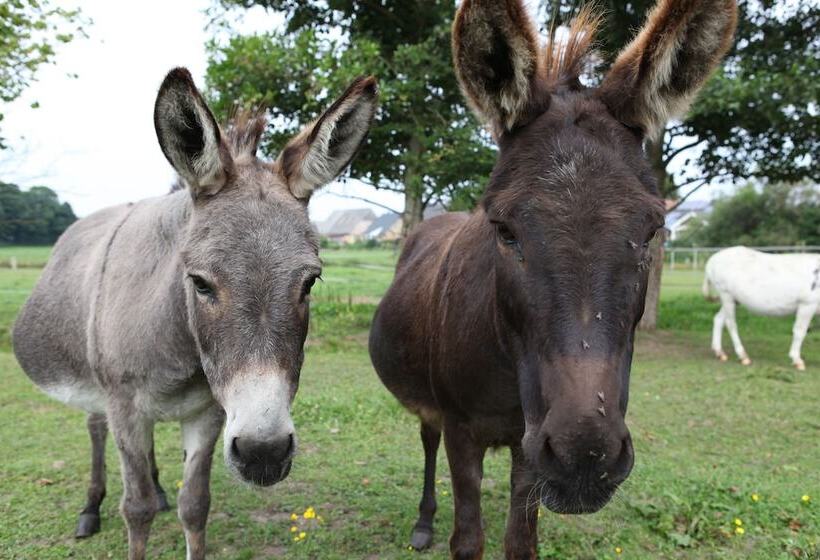 Отель Katerberg