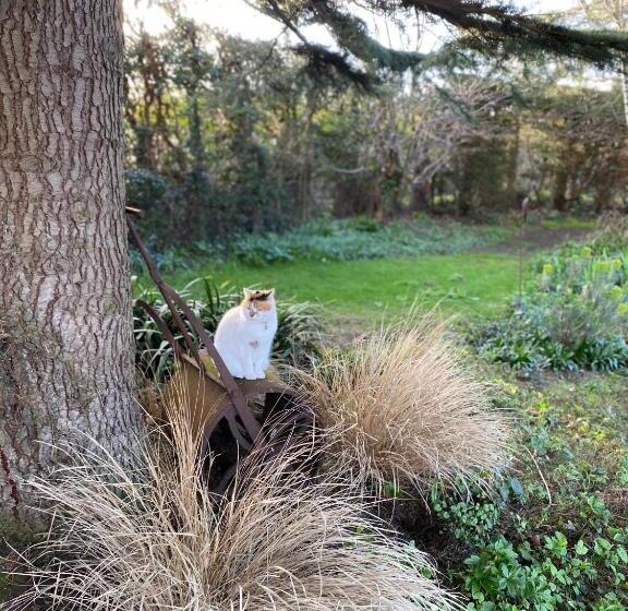 酒店 Lakeside Town Farm