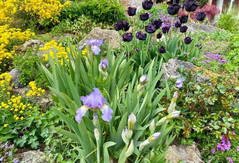 فندق Lakeside Town Farm