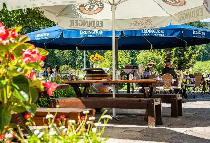 Отель Landgasthof Sonnenhof