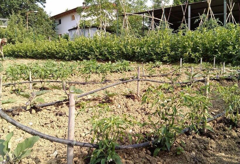 酒店 Locanda Del Parco