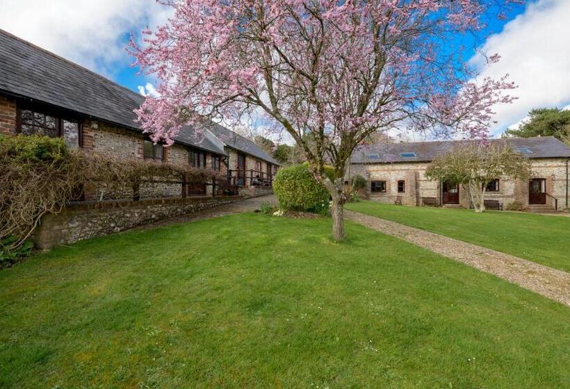 ホテル Luccombe Farm Holiday Cottages