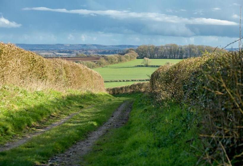 ホテル Luccombe Farm Holiday Cottages
