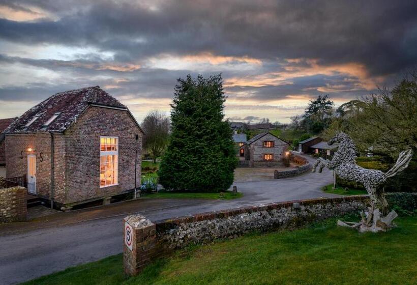 ホテル Luccombe Farm Holiday Cottages