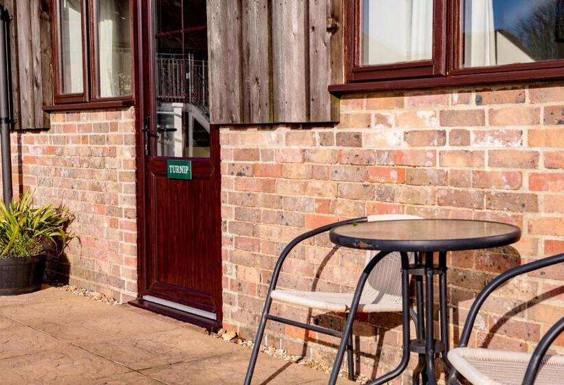 ホテル Luccombe Farm Holiday Cottages