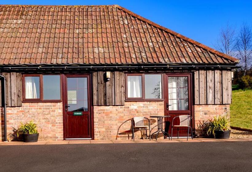 ホテル Luccombe Farm Holiday Cottages