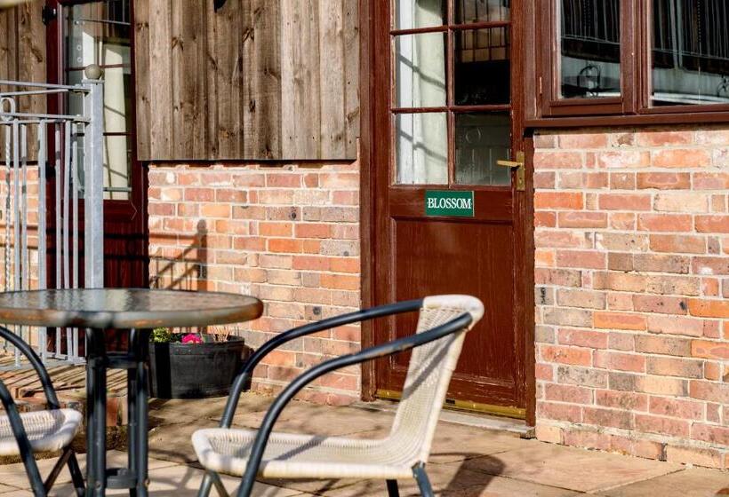 ホテル Luccombe Farm Holiday Cottages