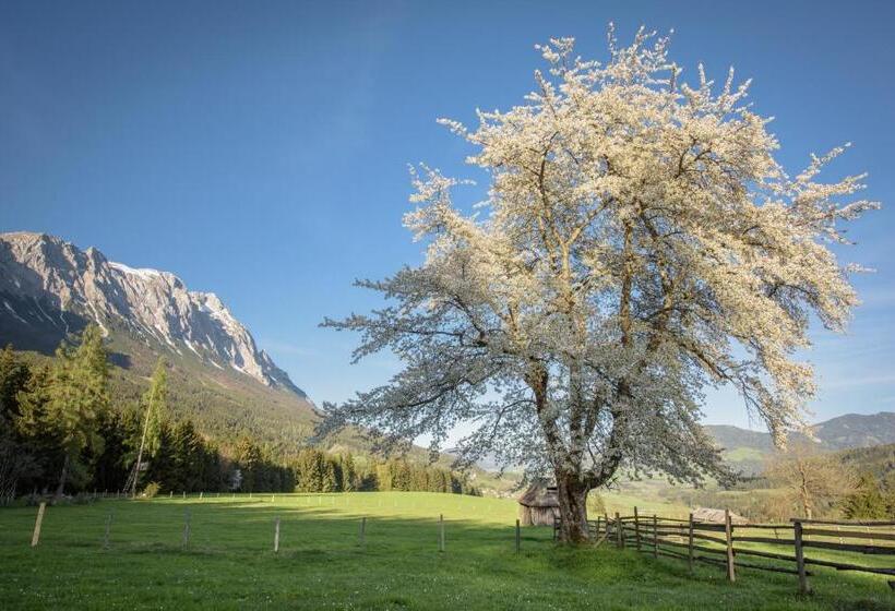 فندق Mayer   Wirtshaus Und Dorf