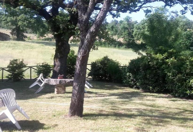 בית מלון כפרי Meriggio