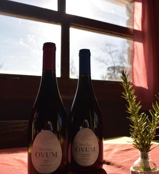 Отель Posada Las Vertientes