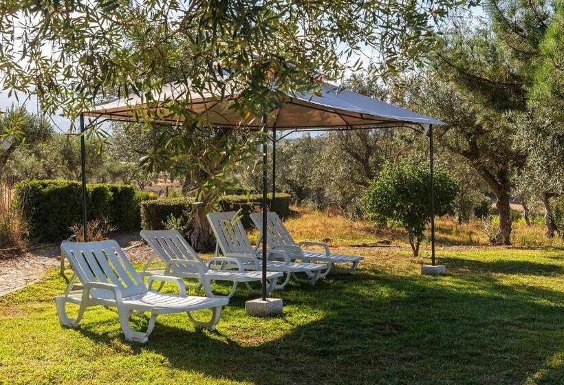 ホテル Quinta Do Chão Da Vinha