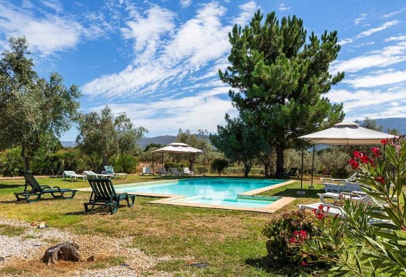 ホテル Quinta Do Chão Da Vinha