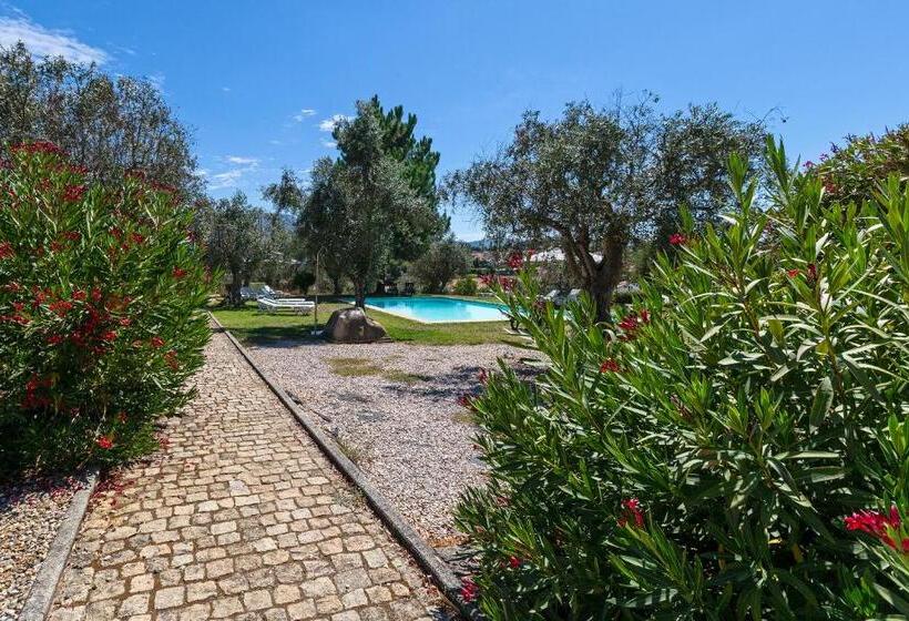 فندق Quinta Do Chão Da Vinha