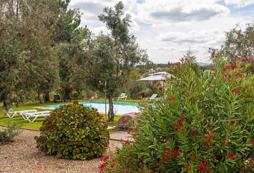 فندق Quinta Do Chão Da Vinha